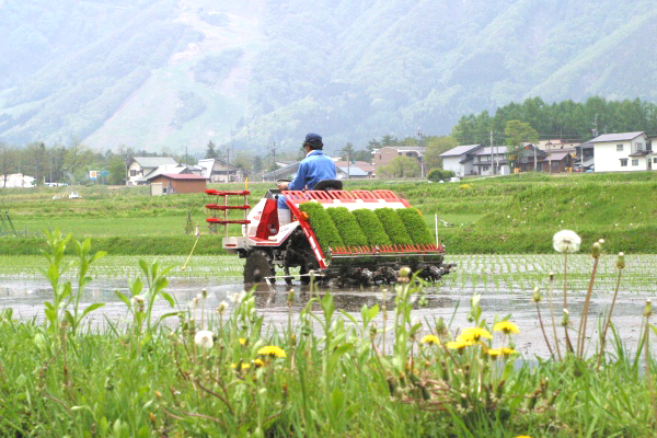 田植え機