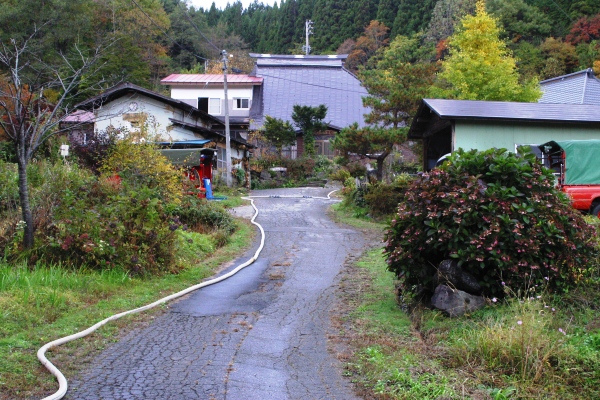 訓練ホース