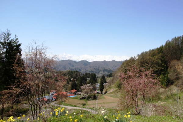 芽吹く里