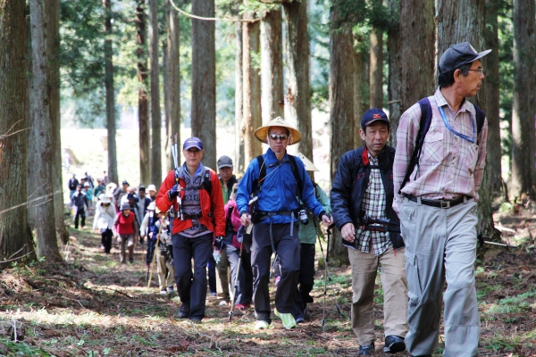 森の中を歩く参加者