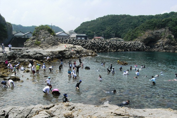 磯遊び