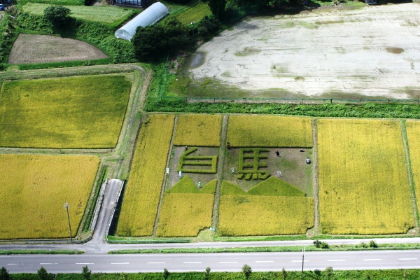 田んぼ文字航空写真