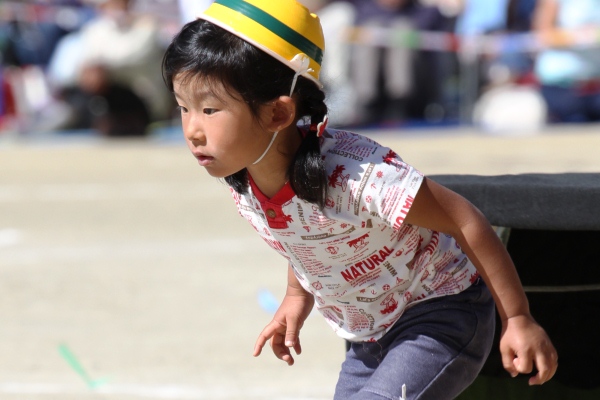 真剣な園児