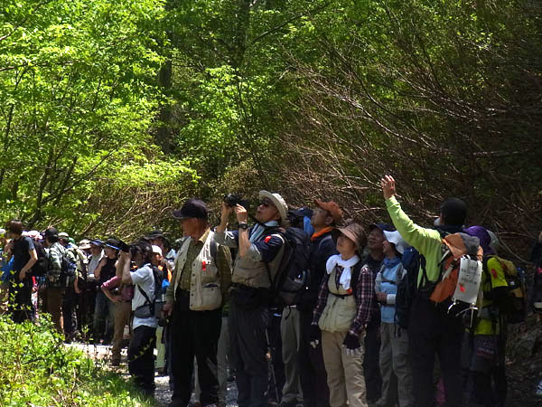 山を見上げる参加者