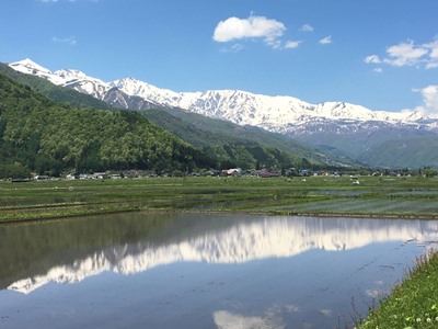 空を映す水張られた田