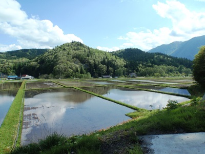 空を映す水張られた田