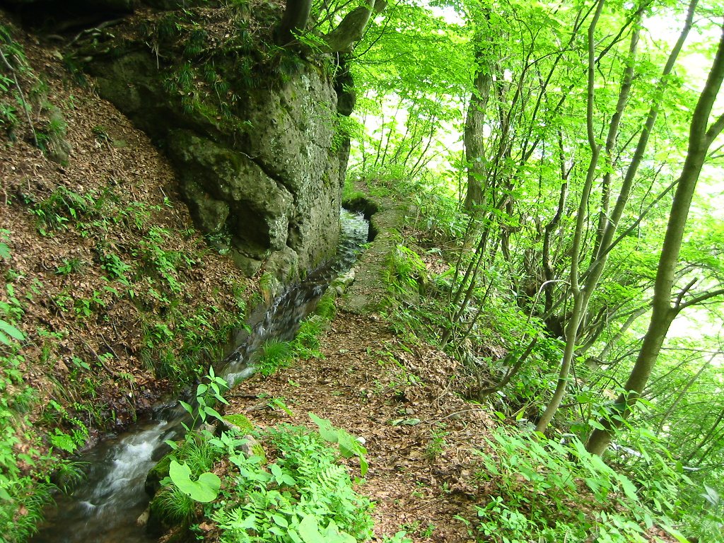 青鬼上堰