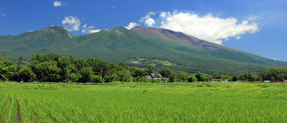 歴史紀行「佐久」画像
