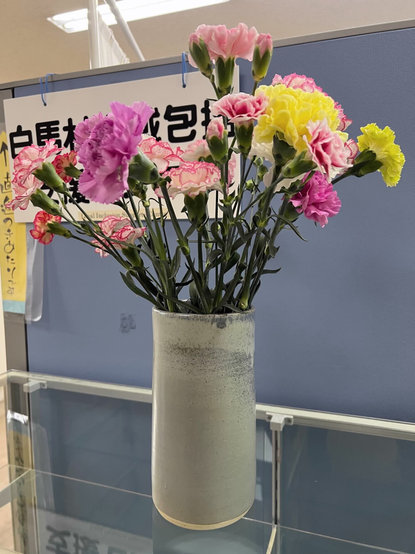 Carnation_01