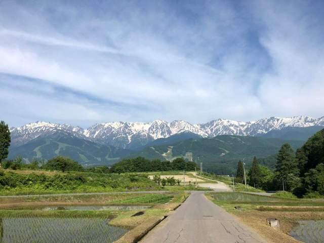 アルプスの残雪・木々の緑・爽やかな風・マウンテンリゾート白馬の画像