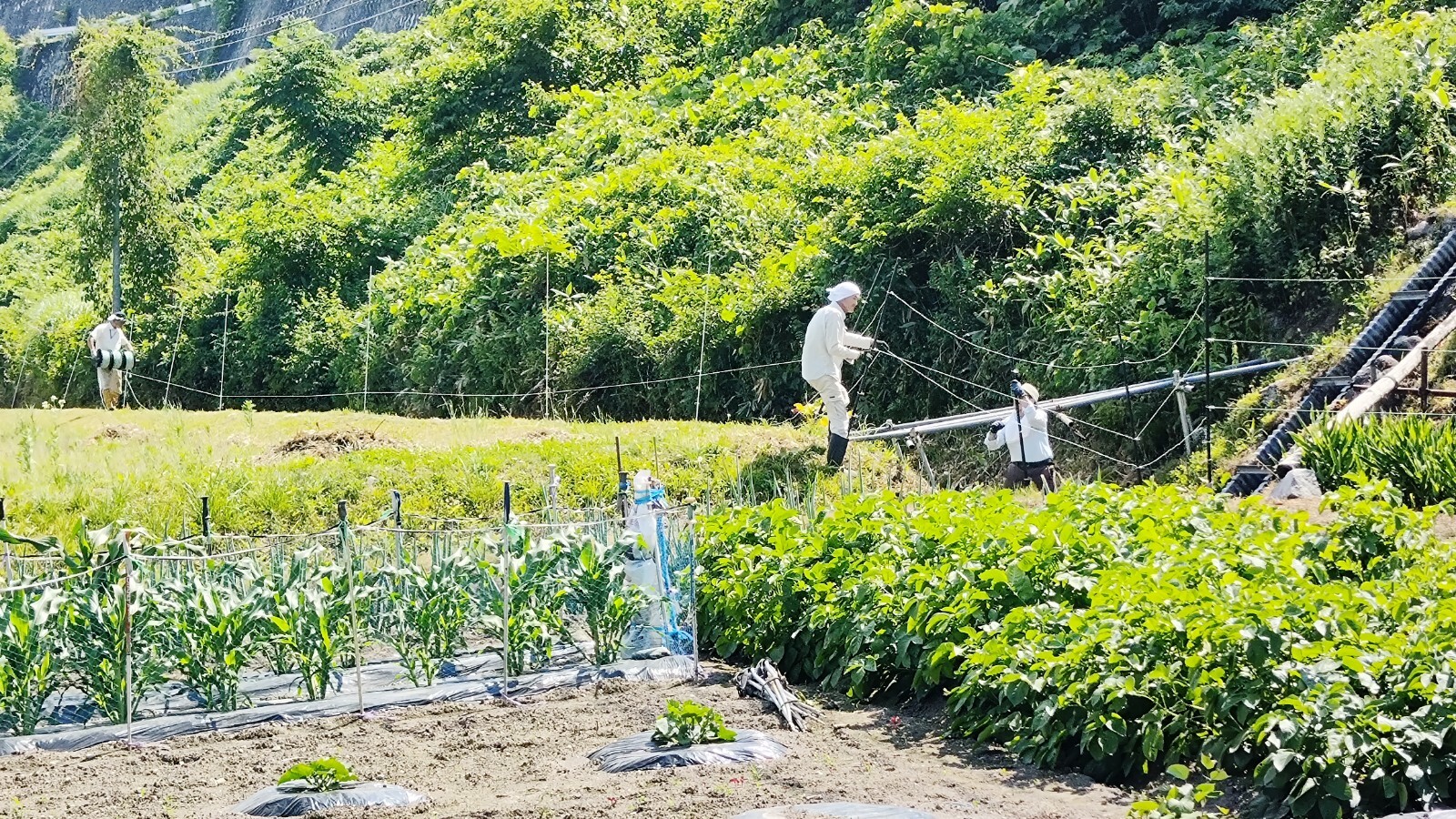 通地区電気柵設置2