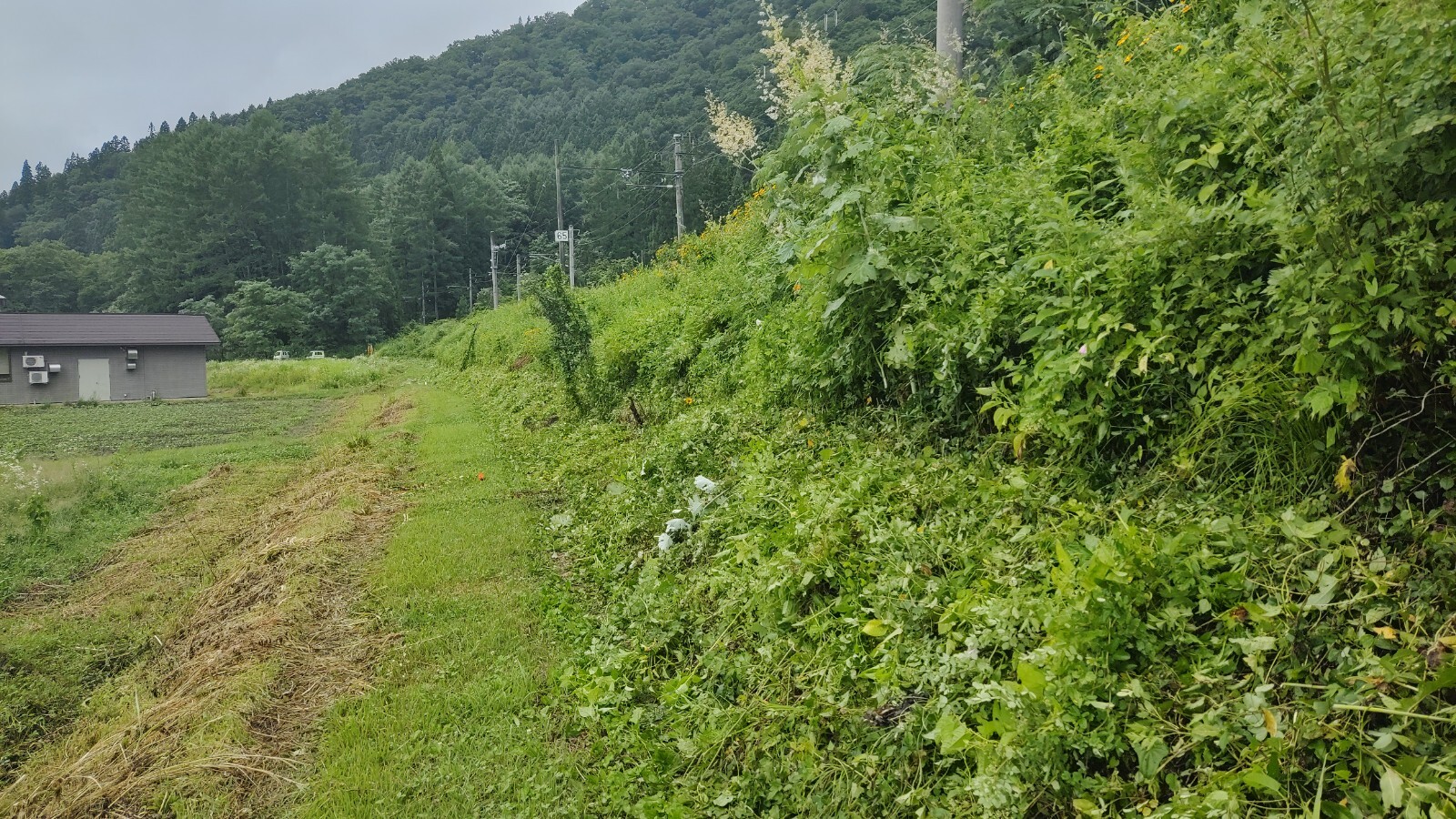整備後