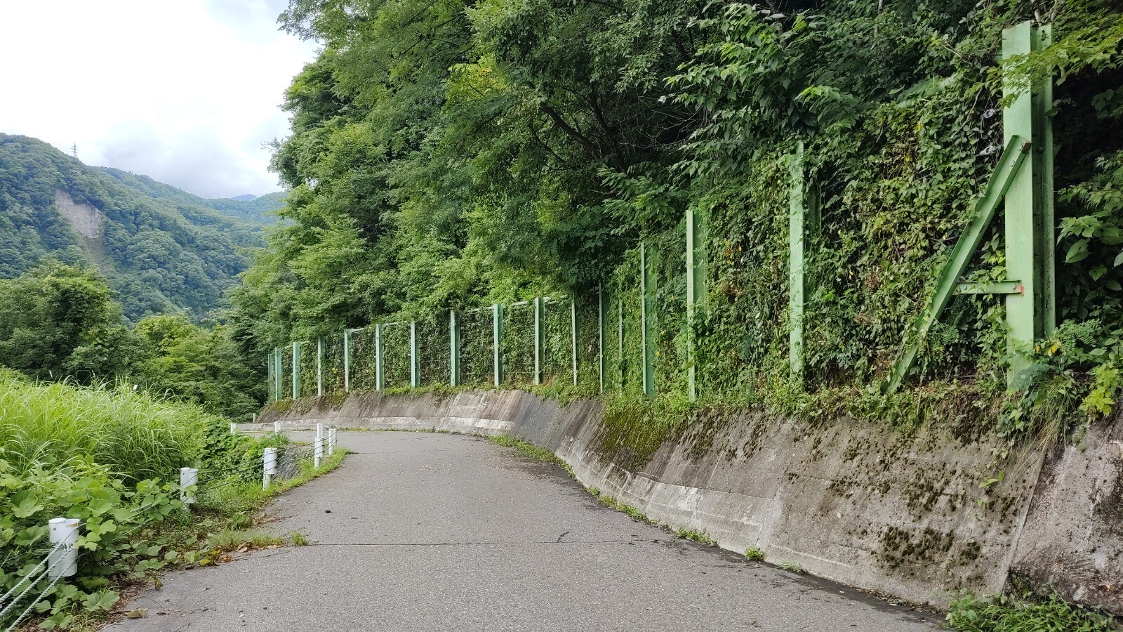 青鬼村道落石ネット枝処理後
