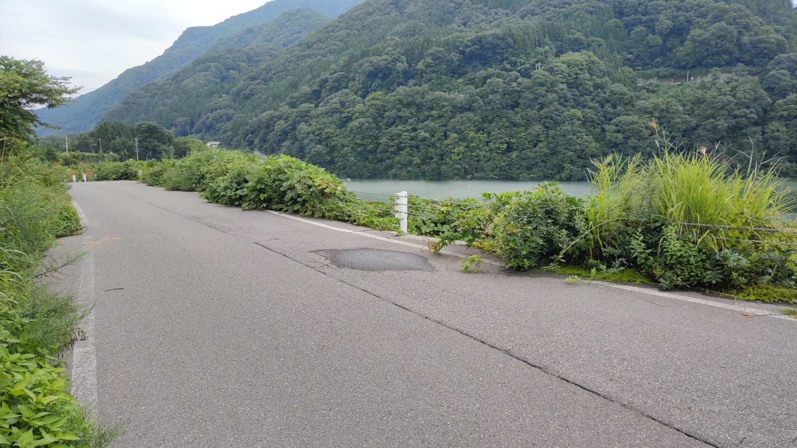 塩島通間村道草刈り前