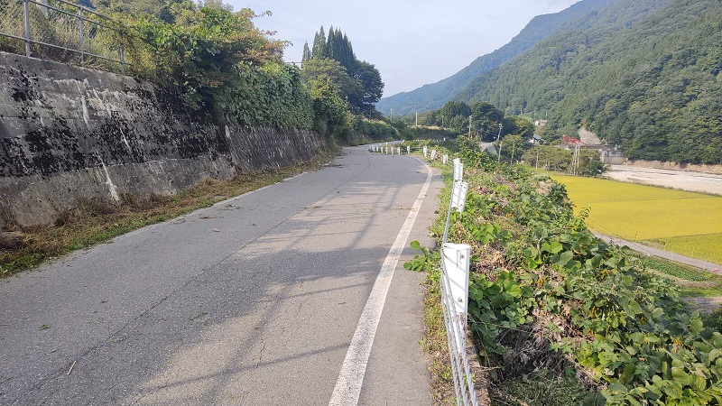 草刈り施業後