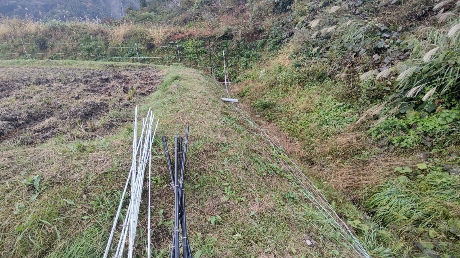 通地区電気柵撤去