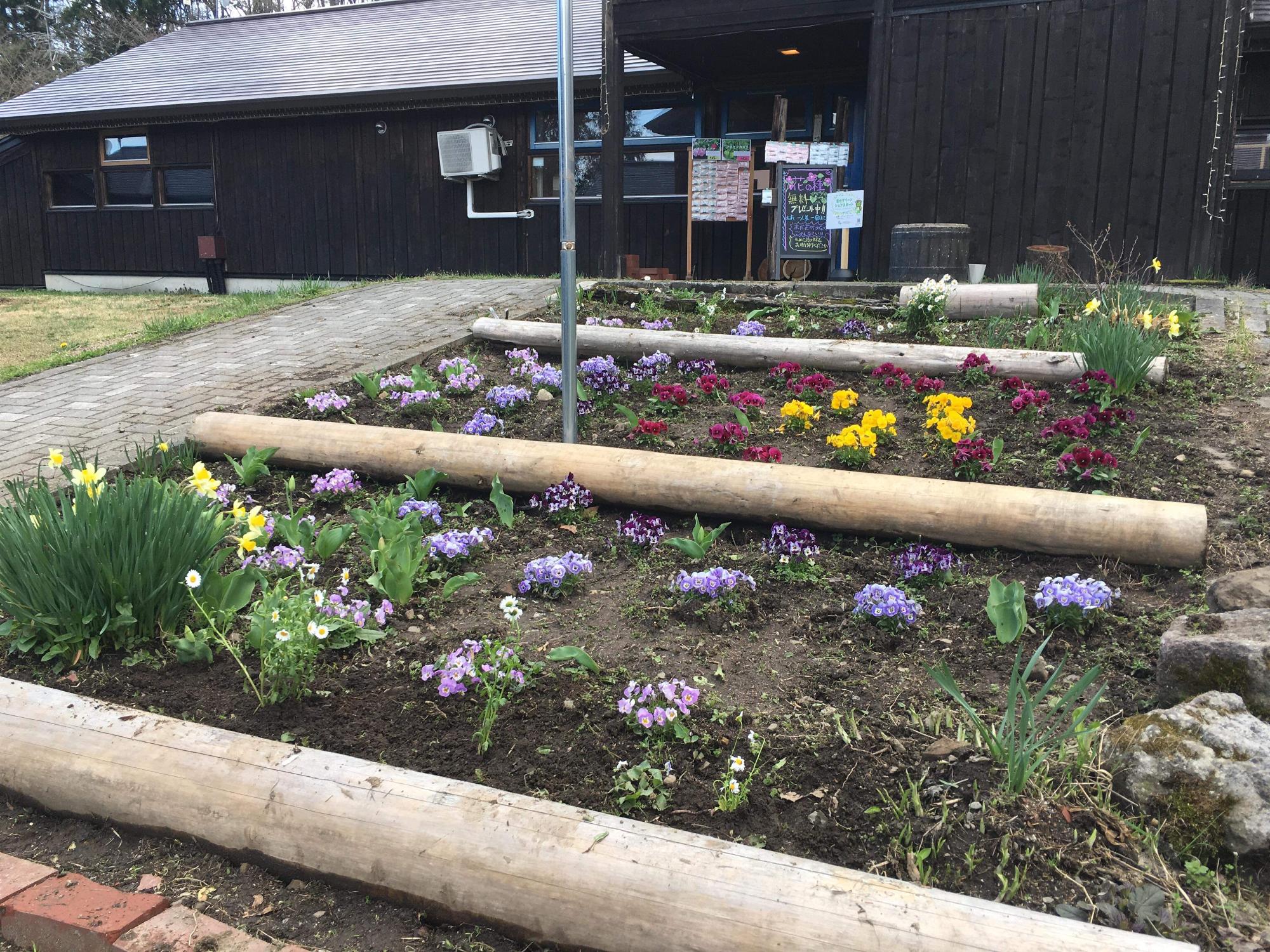 黄色や紫、赤などの様々な色の花がきれいに揃えて植えられている花壇の写真