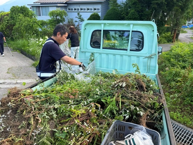 役場職員で村内施設や道路脇の草刈りや草むしりを実施