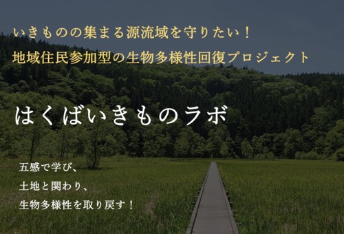 はくばいきものラボ トップ画像