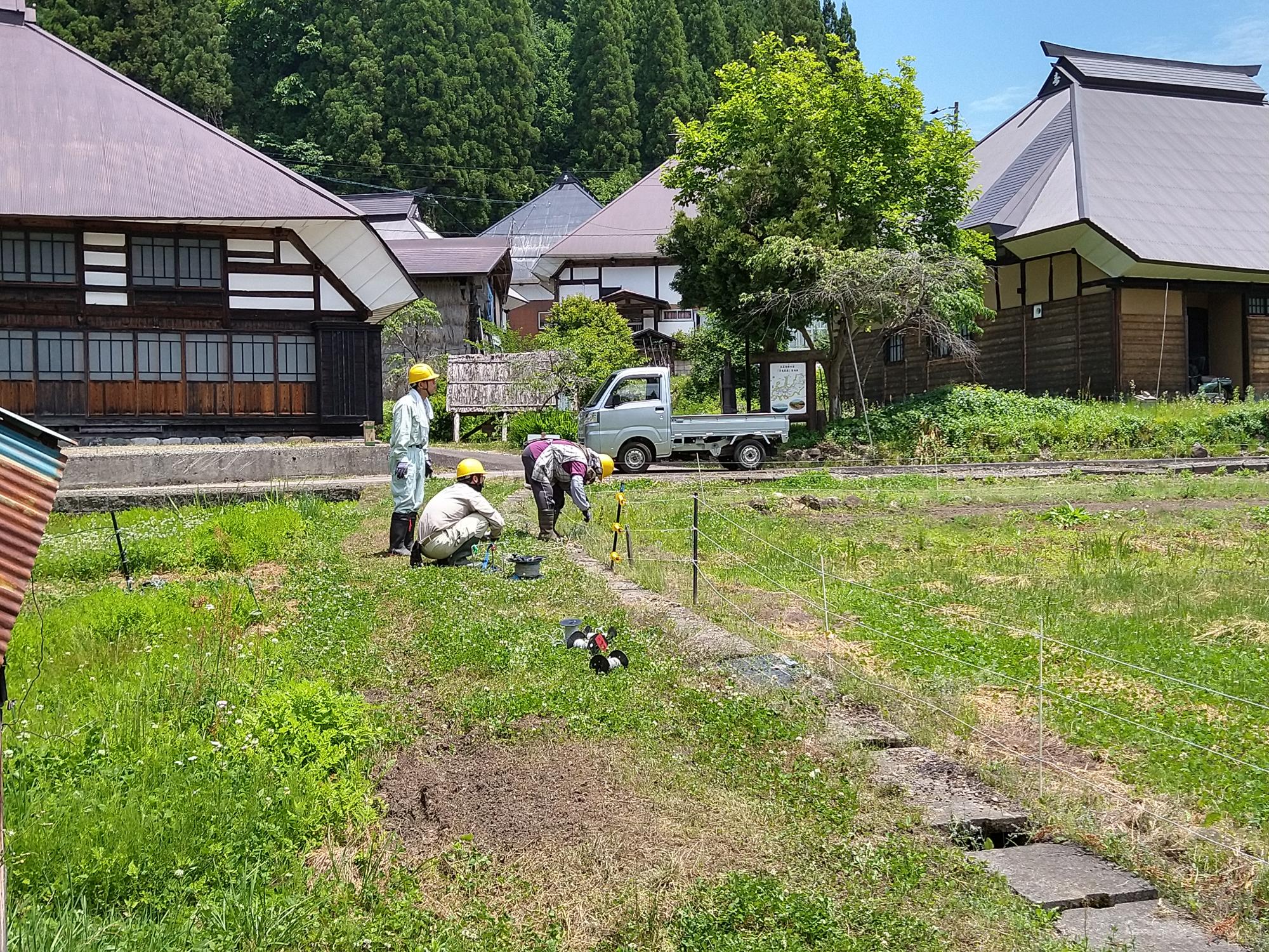 青鬼電柵察知