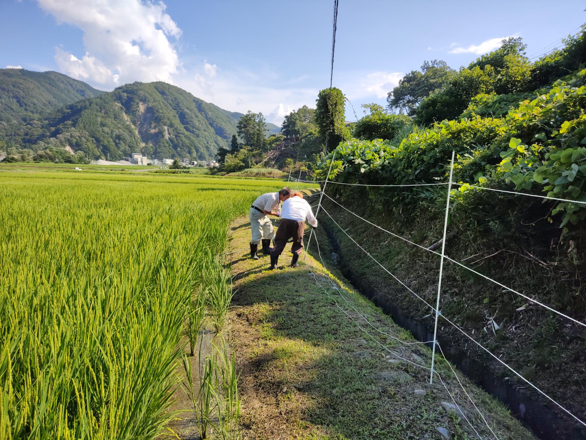 通区電柵設置1