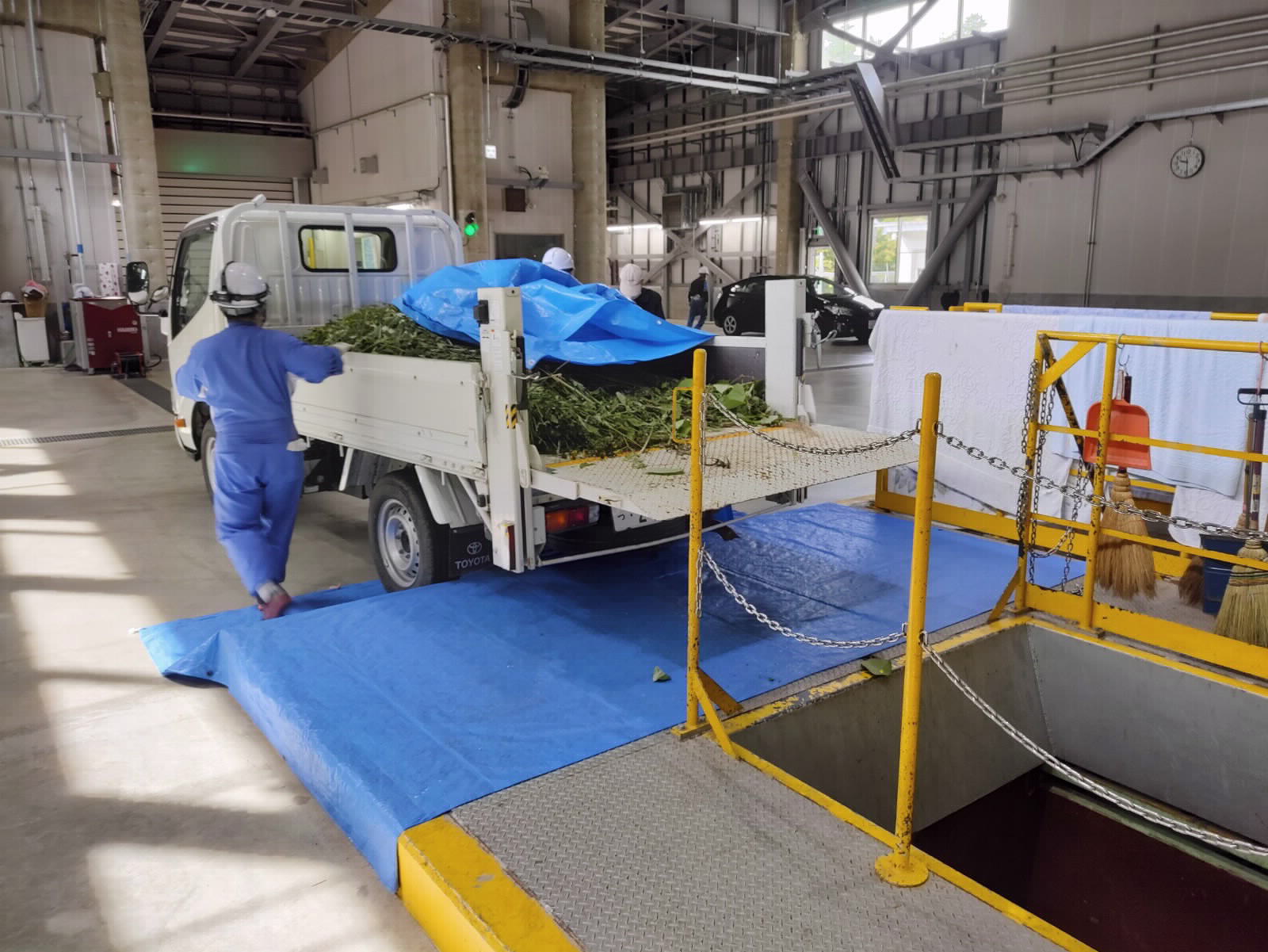 特定外来生物焼却1