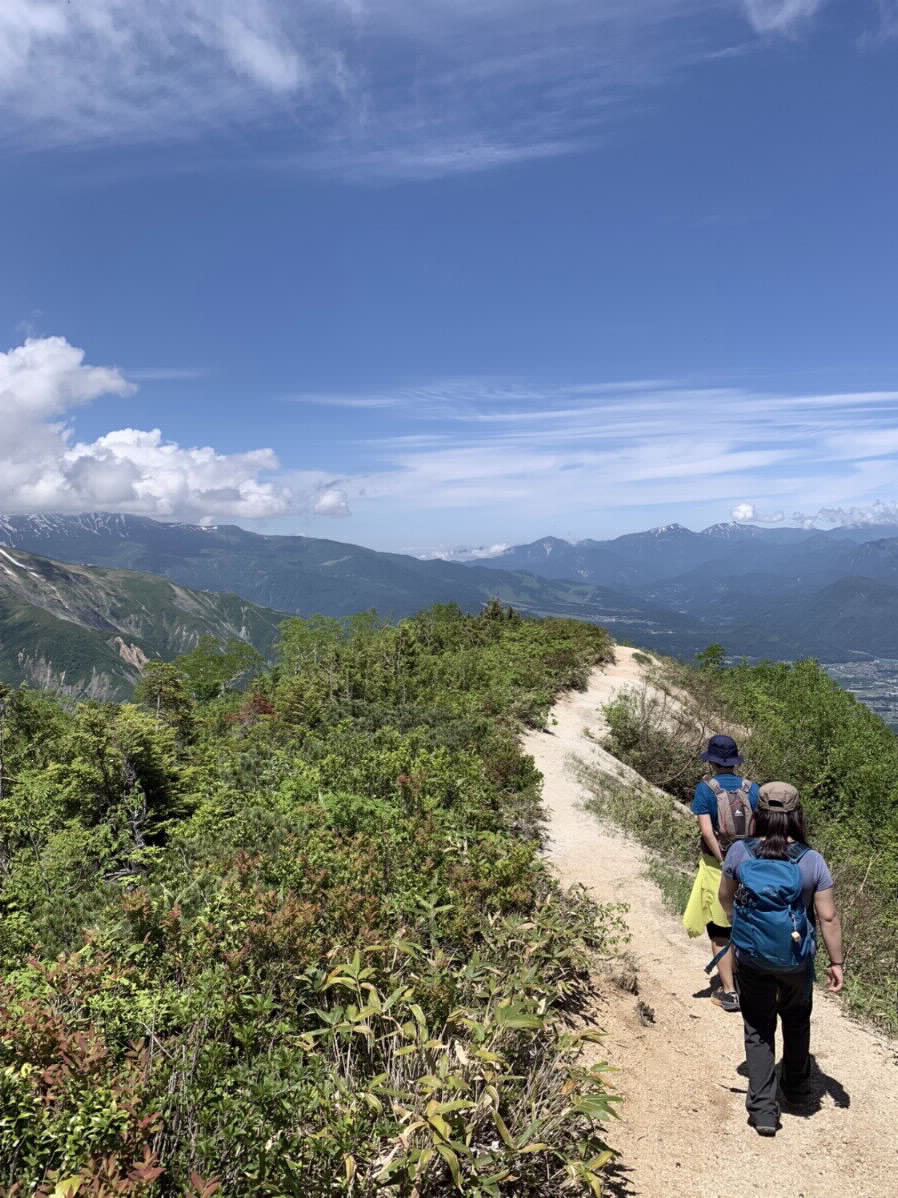 登山道を歩いている写真