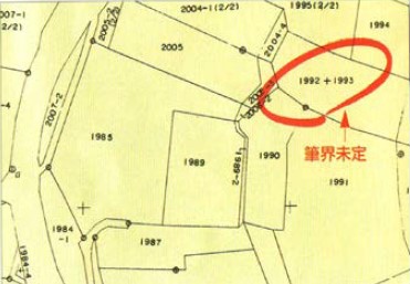 地籍図