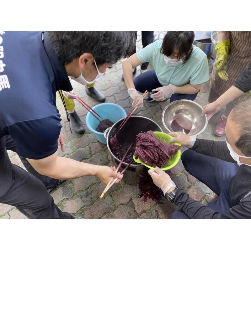 紫舞の汁に布を漬けこむ