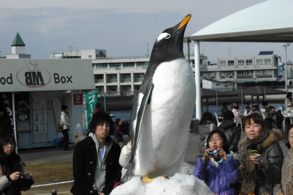 ペンギンと雪