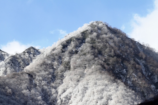 雪化粧の山々