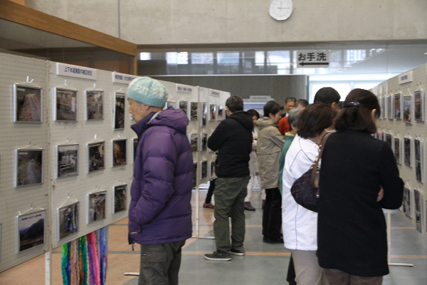 展示の様子