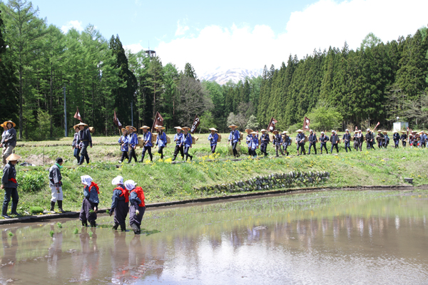 田植えと地区仮装者の行列