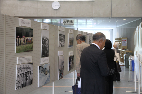 展示の様子