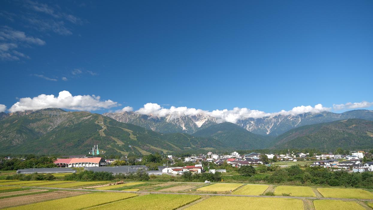 秋の画像