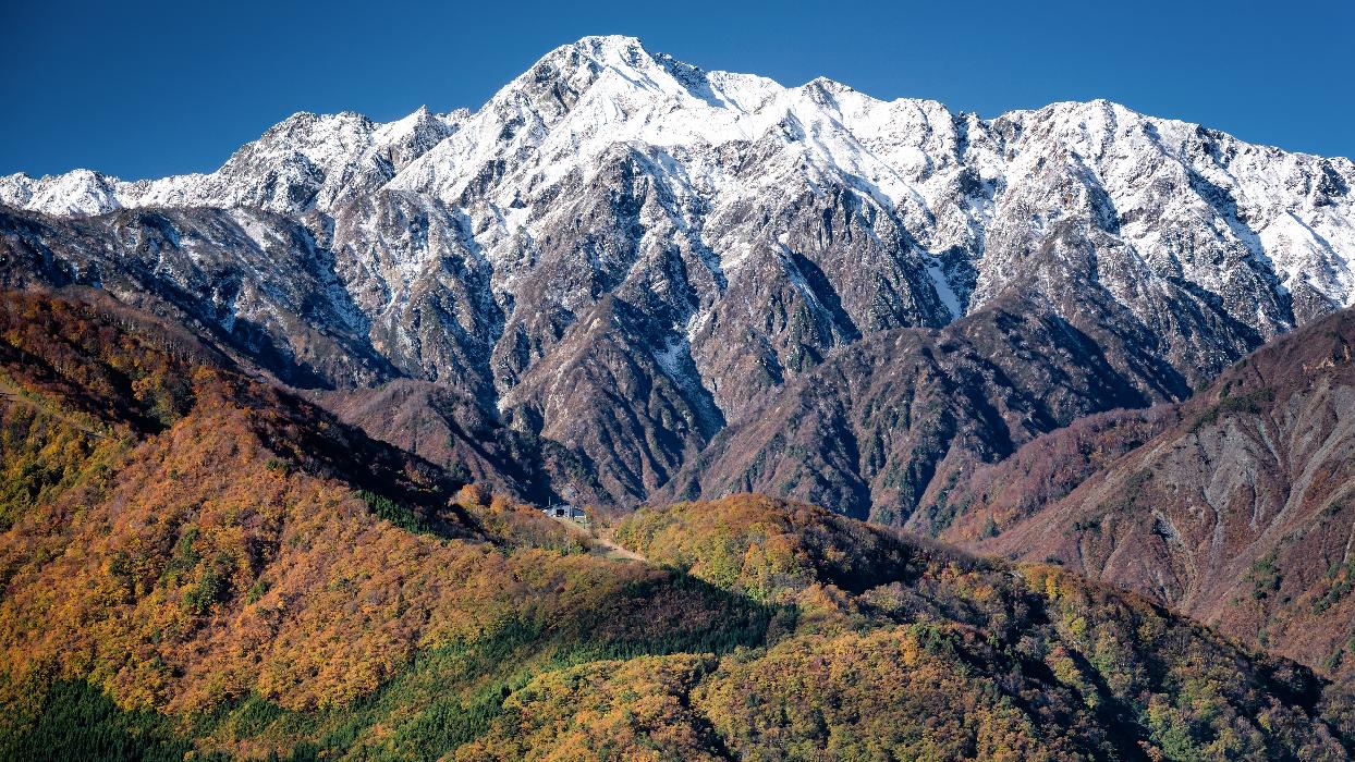 秋の画像