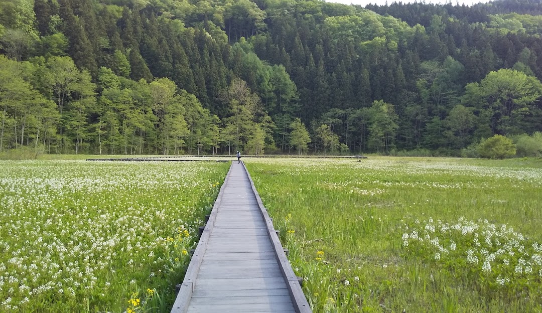 親海湿原の画像