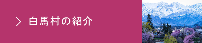 白馬村の紹介