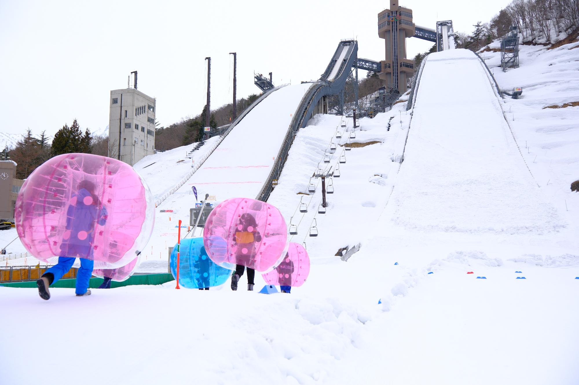 ノルディックスキー子どもの日の写真