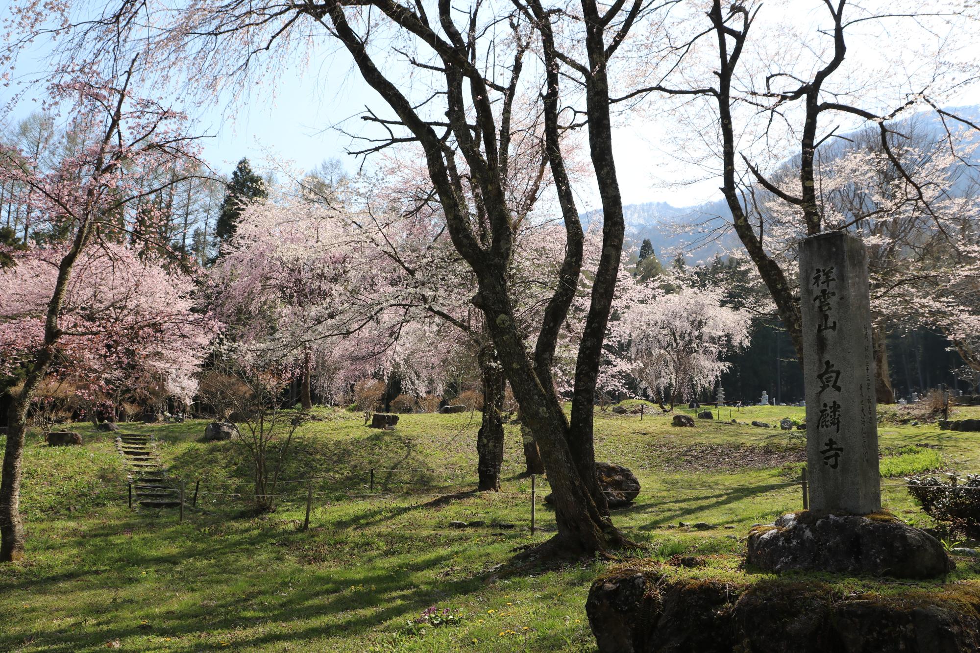 貞麟寺 庭園