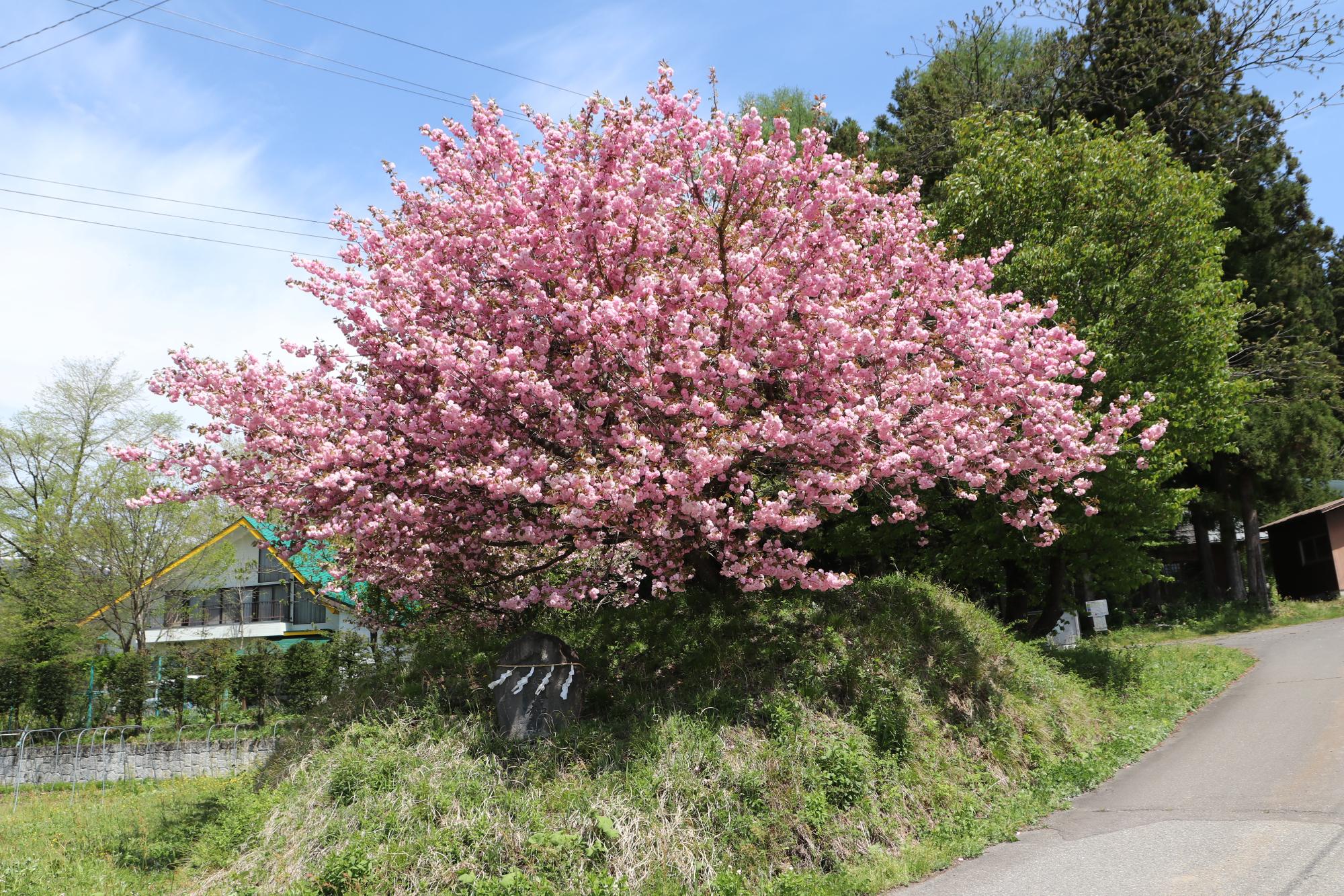 東佐野1号古墳