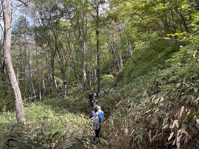 秋の東山散策