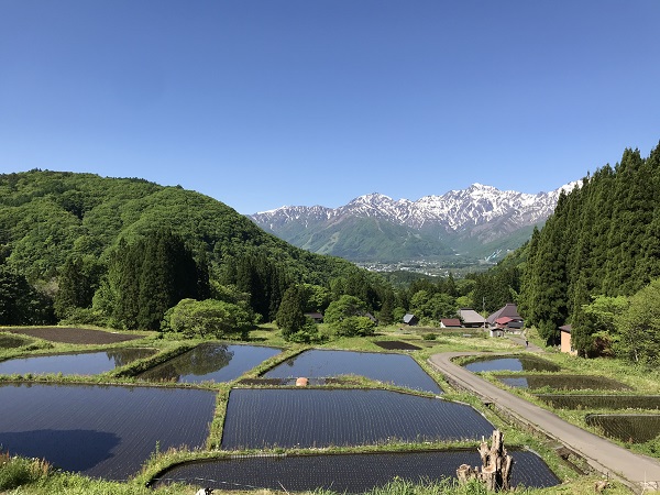 青鬼地区の棚田