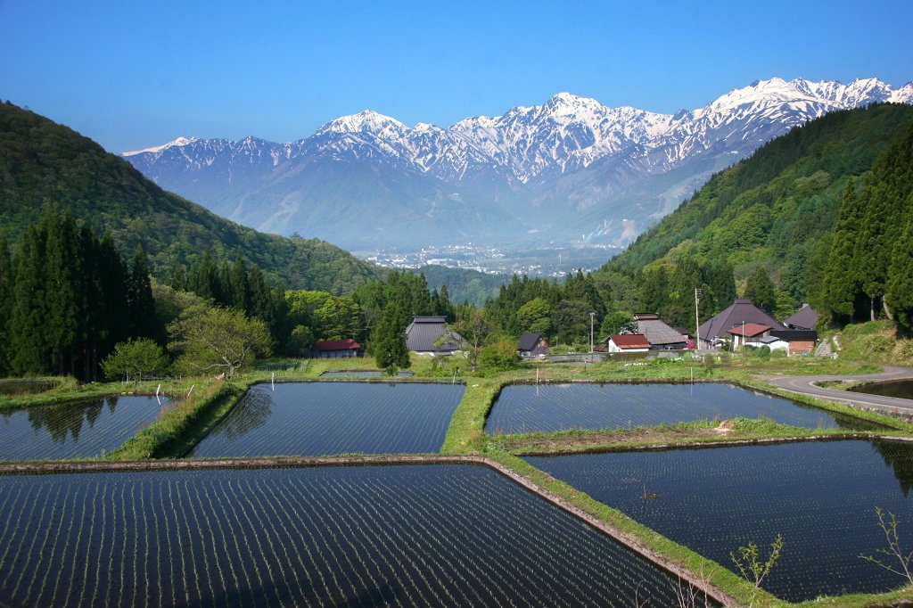 青鬼棚田