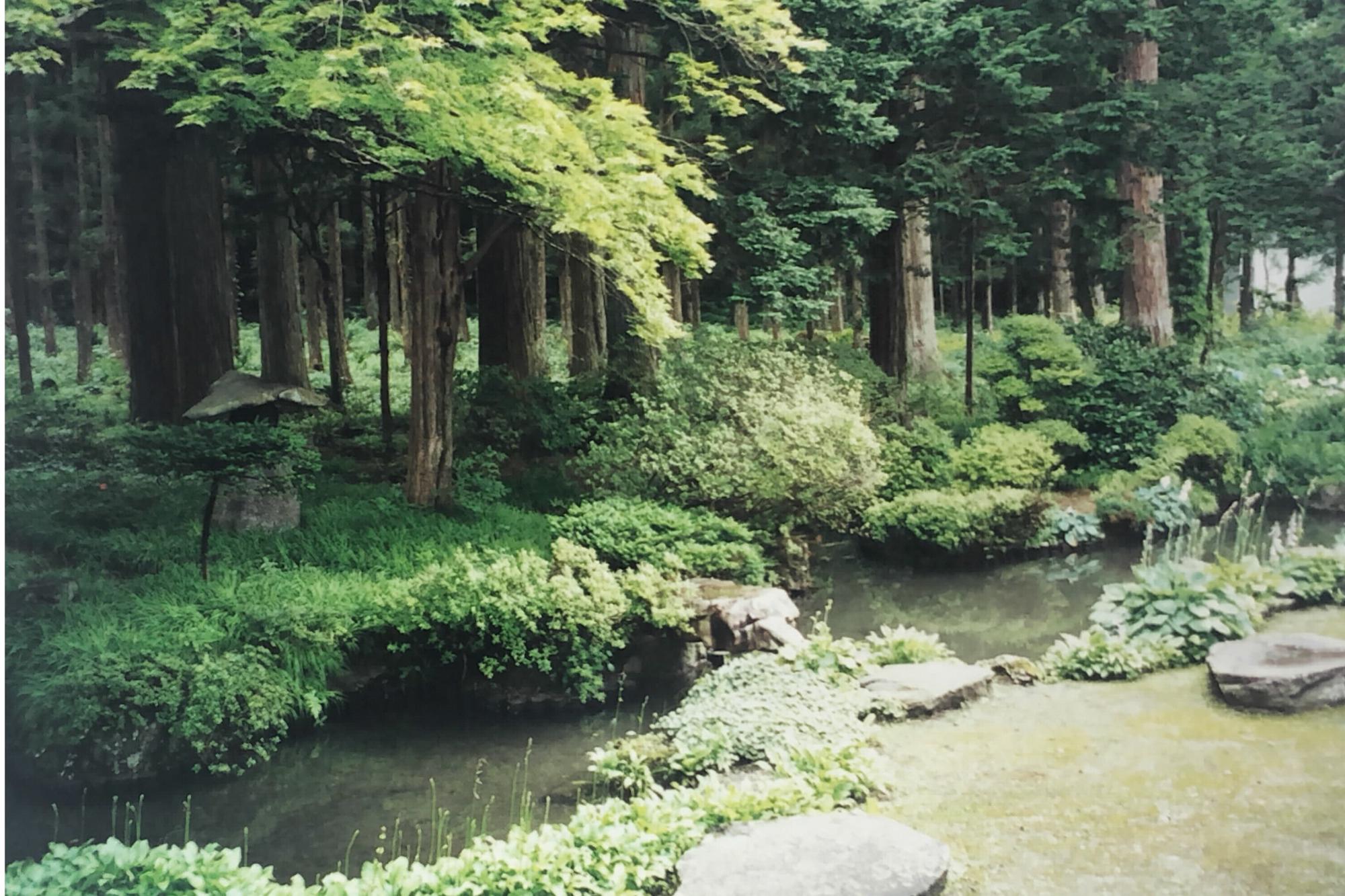 長谷寺 庭園