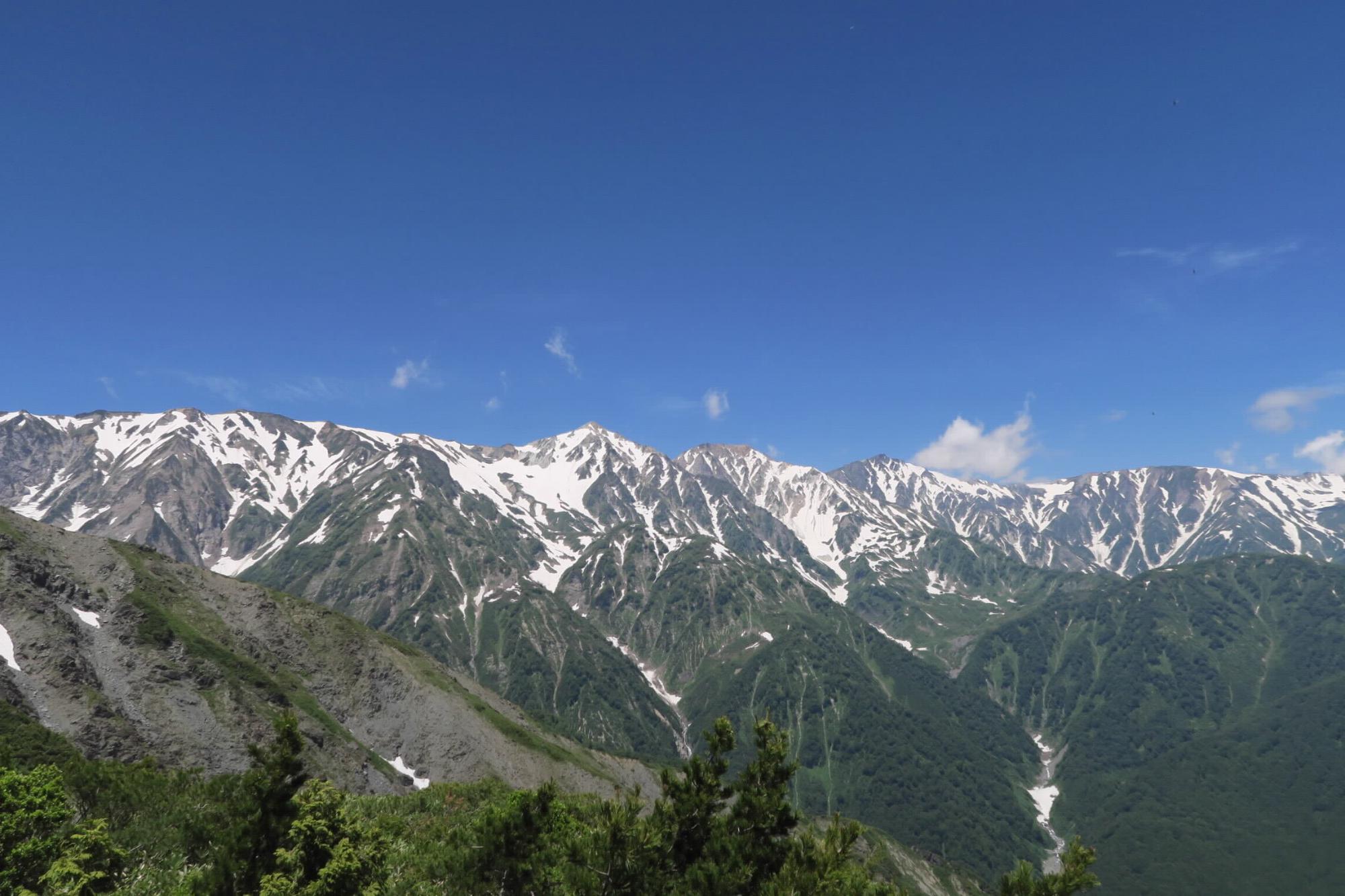 八方尾根高山植物帯