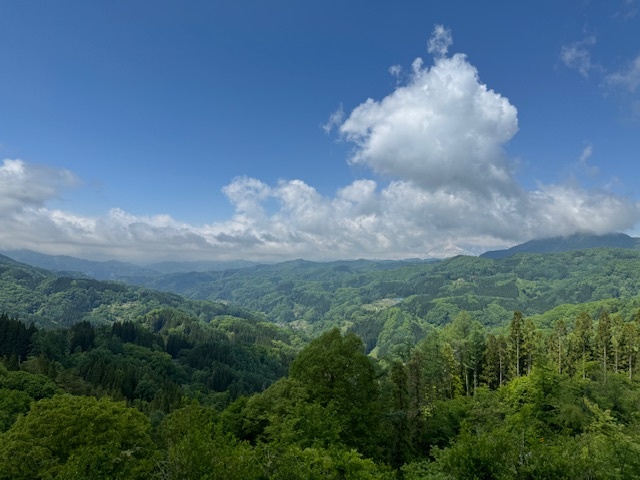 大望峠から北アルプスを望む