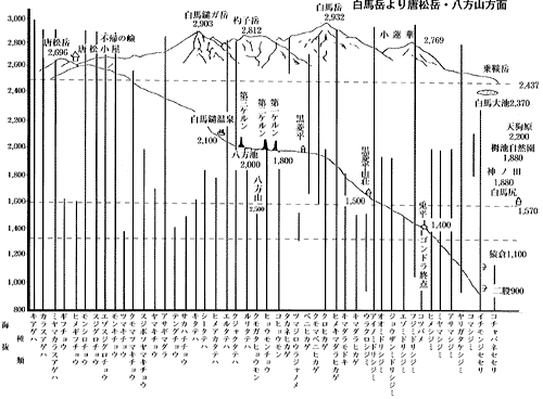 白馬連峰の蝶類の垂直分布図