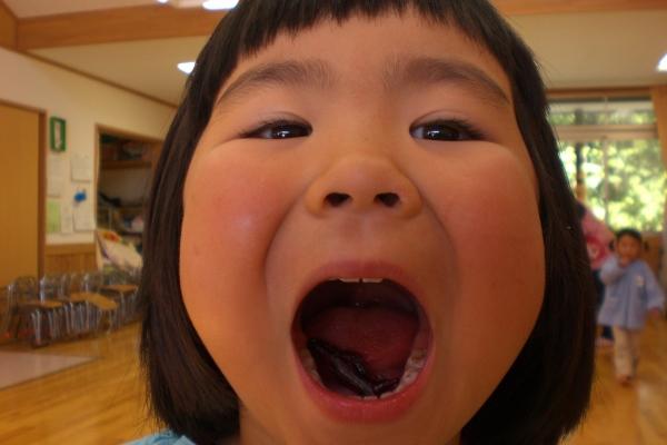 女の園児がおいしいと大きな口にイナゴを入れたところを見せている写真