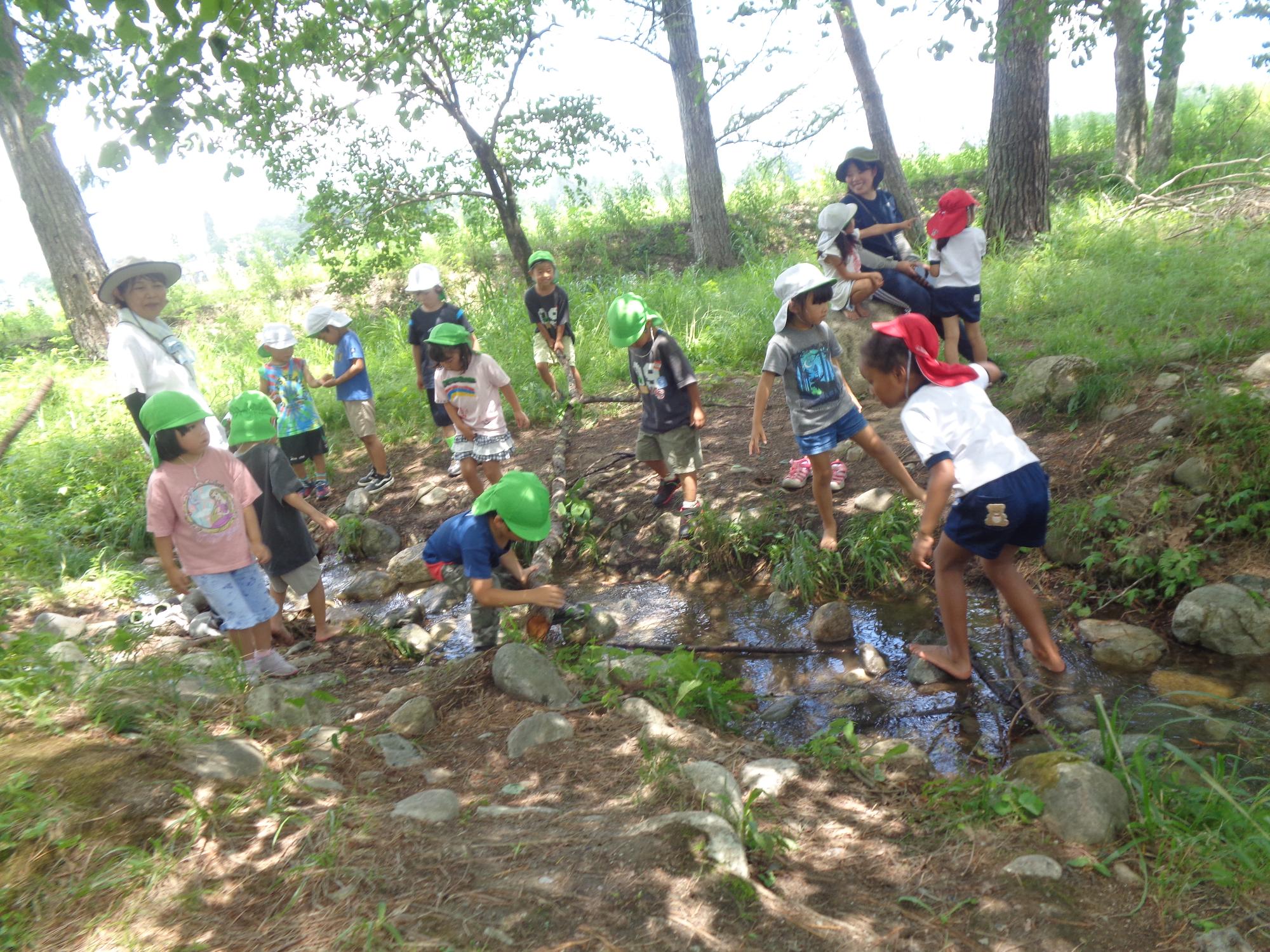 2026年7月21日_保育園_幼稚園交流会_川遊び